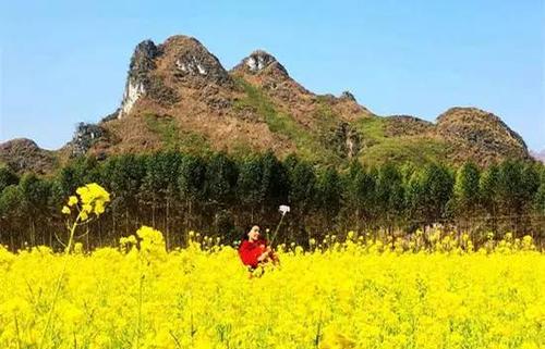 Bộ Công an khai mạc Hội nghị Công an toàn quốc lần thứ 73