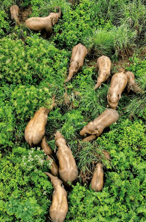 Bộ Công an tổ chức Hội thảo góp ý xây dựng Chỉ thị, Thông tư về công tác bưu chính Ev88 dang cap thuong luu