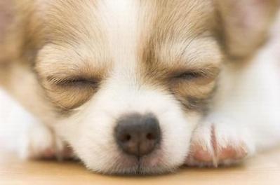 Giảng viên Bộ môn Tâm lý biểu diễn văn nghệ cùng sinh viên
