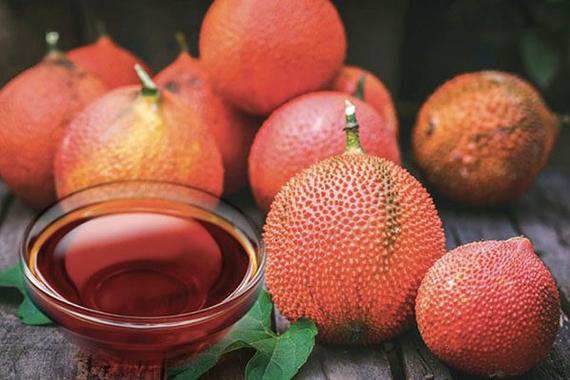 Tư tưởng Hồ Chí Minh về tổ chức phong trào hành động cách mạng, tập hợp - giáo dục thanh niên