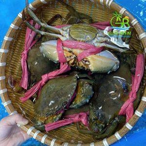 Đội thi Trường Đại học PCCC