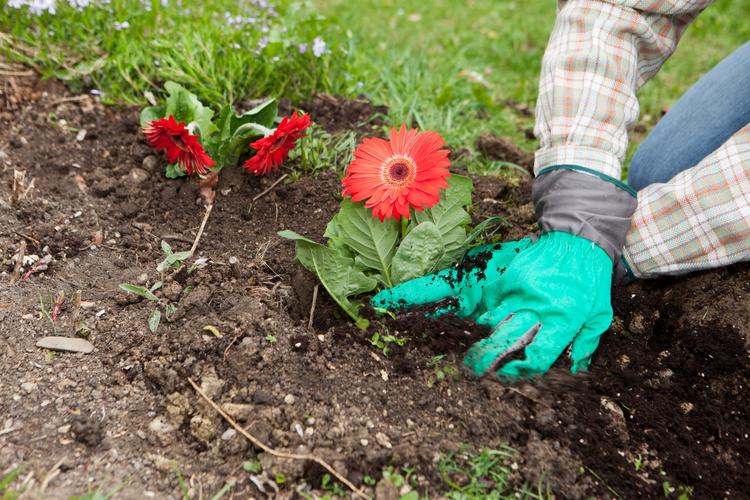 Bộ trưởng Tô Lâm phát biểu tại buổi Lễ.