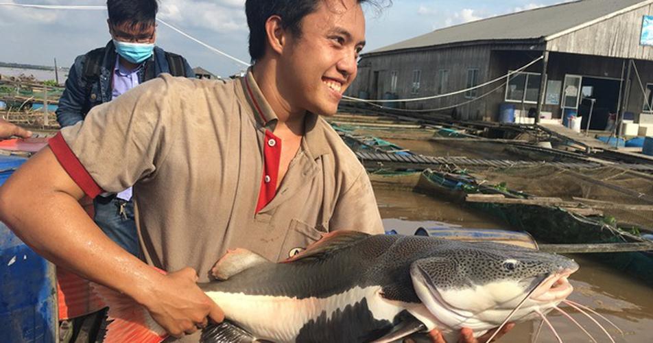 Giáo dục thanh niên vừa “hồng” vừa “chuyên” theo Di chúc Hồ Chí Minh