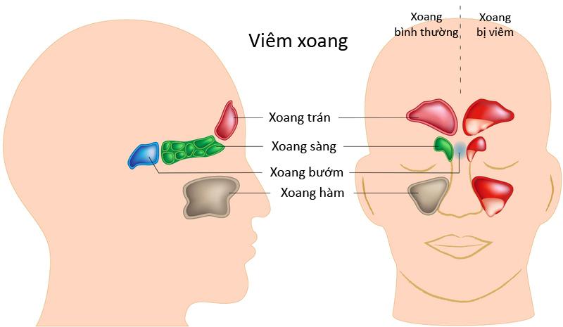 Tiết mục của Đoàn Nghệ thuật Trống hội được đông đáo khán giả cổ vũ và ghi hình làm kỷ niệm