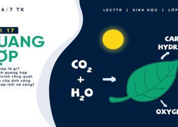 Những đóng góp mới về mặt Truy Cập Website EV88.COM 2026 Tặng 188k, lý luận trong luận án của NCS Trần Việt Vân