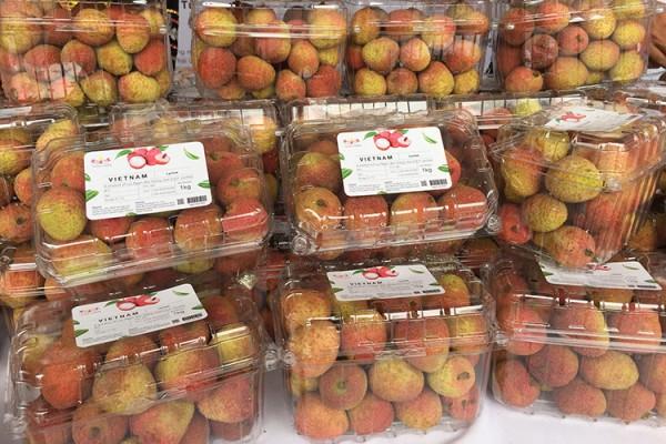 Các đại biểu dự Hội nghị.
