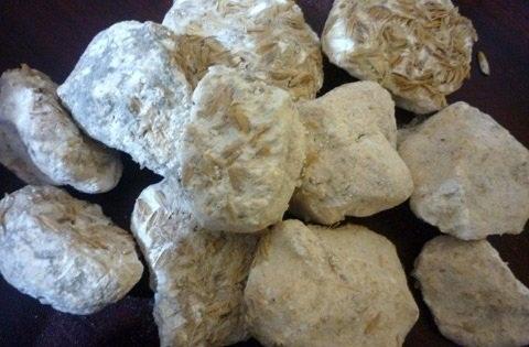 Thứ trưởng Lê Quốc Hùng phát biểu khai mạc Hội nghị.