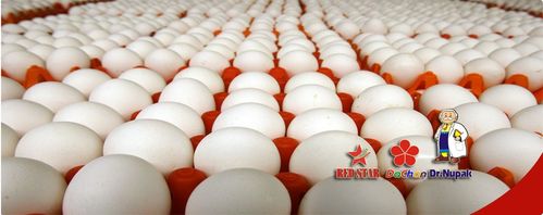 Các đại biểu và học viên chụp ảnh lưu niệm