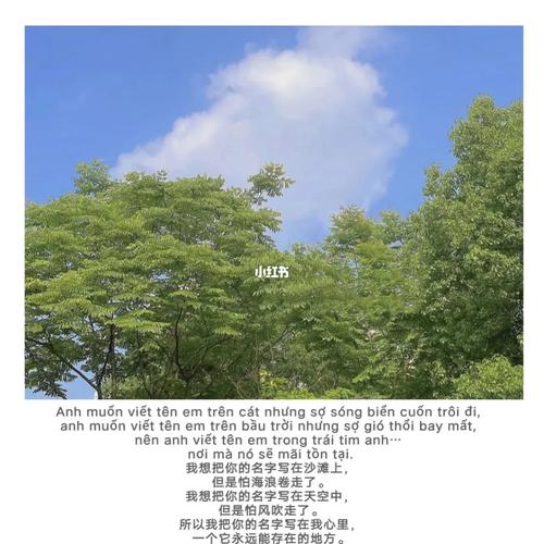 THƯ CẢM ƠN CỦA ĐẢNG ỦY CÔNG AN TRUNG ƯƠNG, BỘ CÔNG AN
