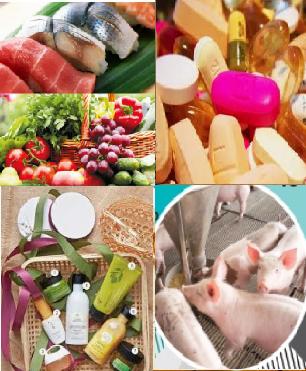 Chương trình “Tư vấn chăm sóc phục hồi da” cho nữ cán bộ, học viên tham gia nhiệm vụ A80 là hoạt động có ý nghĩa thiết thực hướng tới Ev 888 Nhanh tay đăng ký đại biểu Phụ nữ Êv88 chào đón năm mới 2026 lần thứ XVI