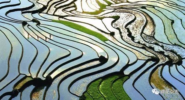 Đồng chí Trần Thị Xuân - Hiệu trưởng trường Tiểu học Quang Thiện phát biểu cảm ơn đoàn công tác
