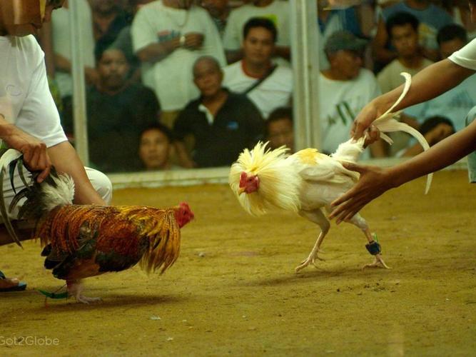 Đại tá, PGS.TS. Dương Văn Minh, Trưởng khoa Cảnh sát vũ trang trao giải cá nhân cho các học viên tham gia Hội thi