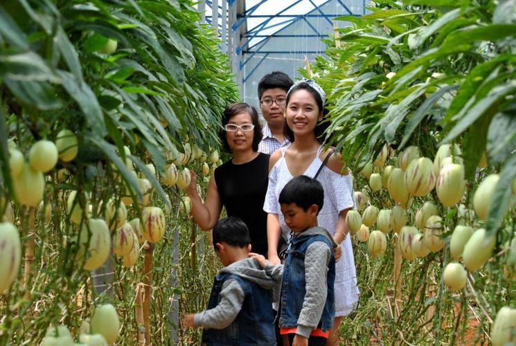 Toàn cảnh buổi làm việc