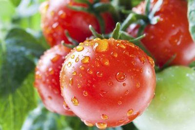 Các đại biểu chụp ảnh lưu niệm